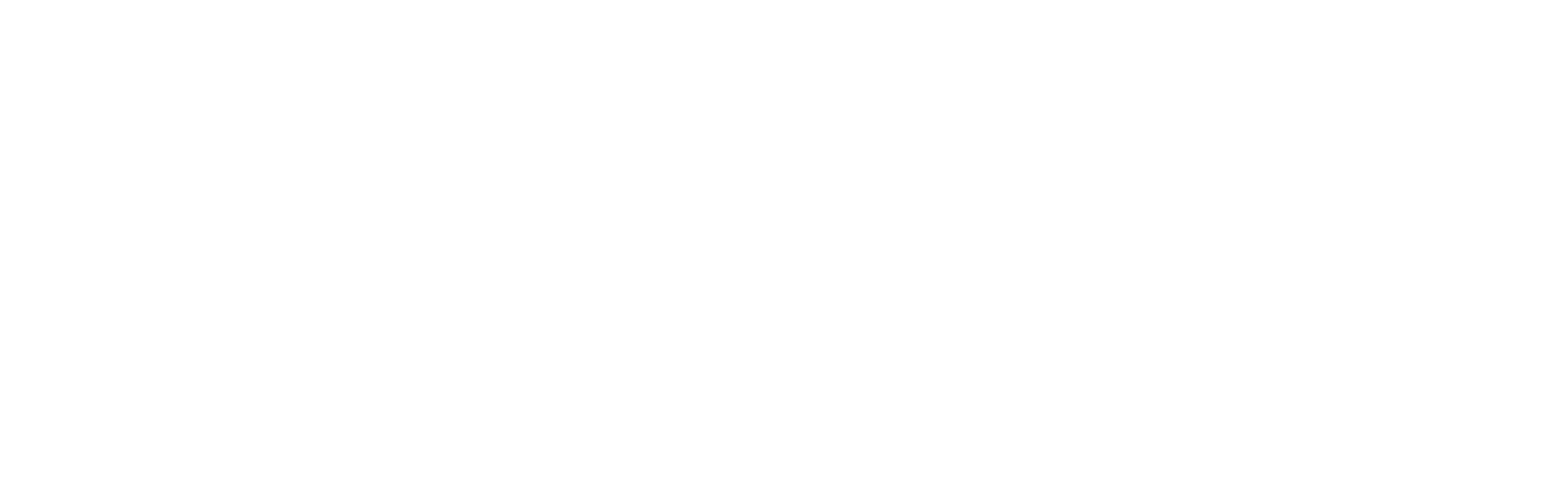 Pn white png logo 18.png